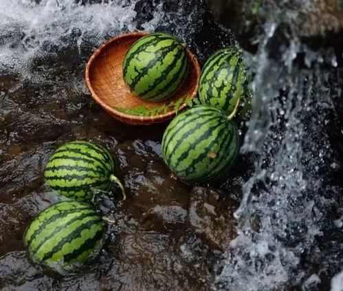 吃瓜安全小知识,安全小知识，轻松享受清凉一夏